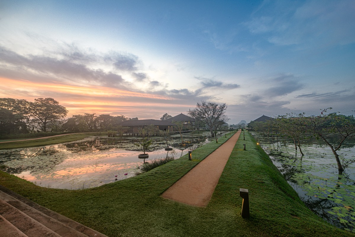 Water Garden